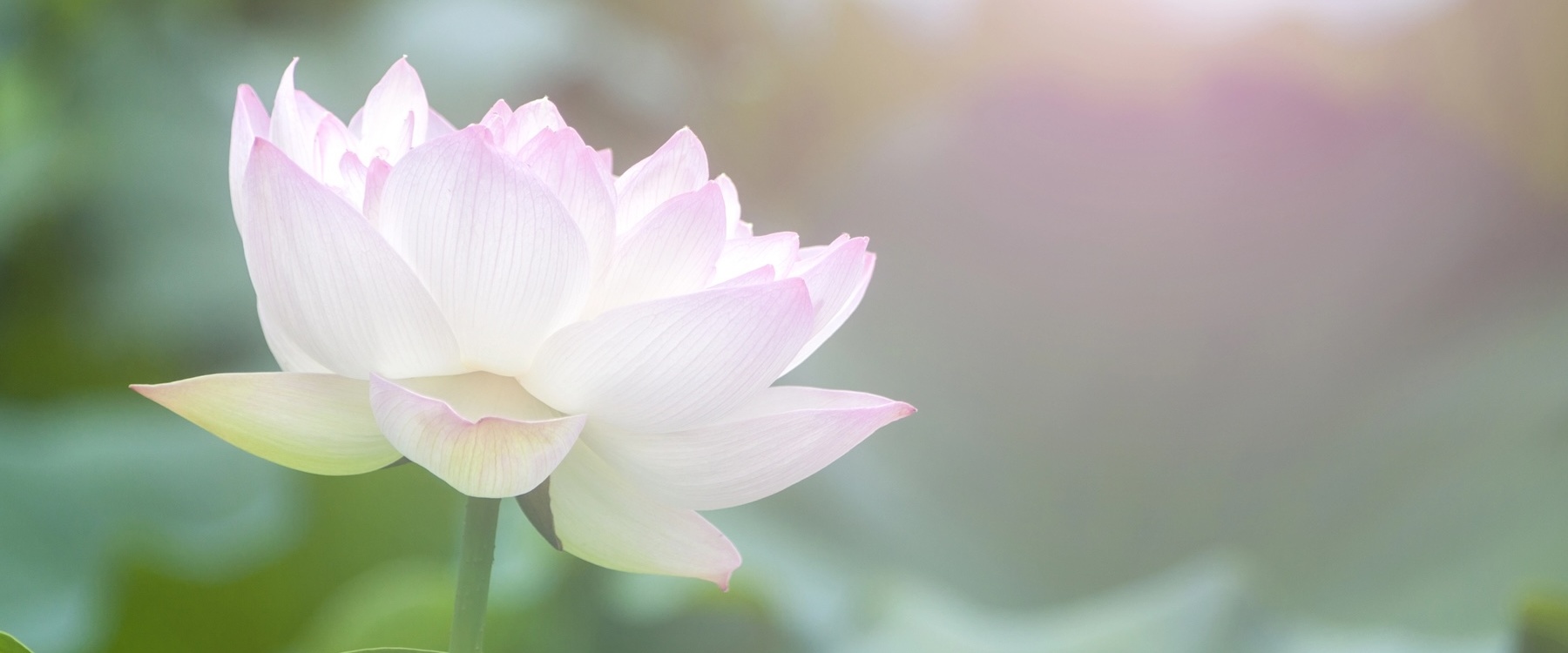 Groeien in bewustzijn