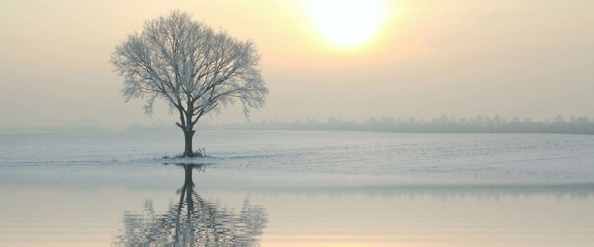 Wet van uitstralingskracht